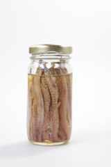 Anchovy