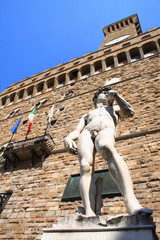 Naklejka premium Palazzo della Signora, Firence, David,