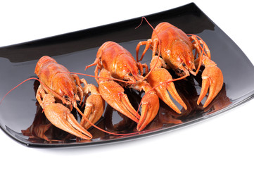 Plate of red boiled lobsters