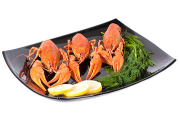 Plate of red boiled lobsters