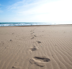 footprints