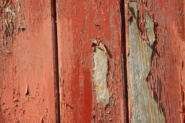 the door plank's paint