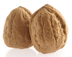 walnut