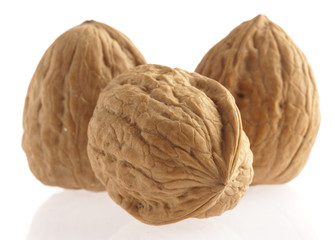 walnut