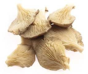 mushrooms