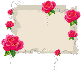 Pink Roses on frame