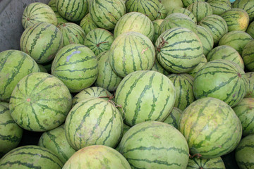 Obraz premium Watermelon in Vientiane, Laos.
