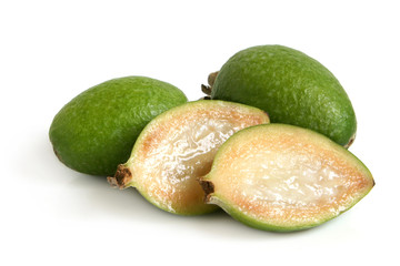 Feijoa