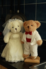 Groom and bride doll in love