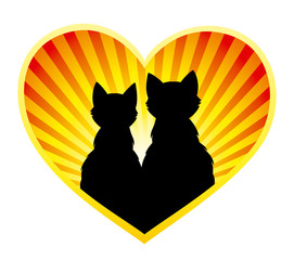 Silhouette of cats in love