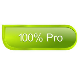 100 pour 100 pro sur bouton design vert