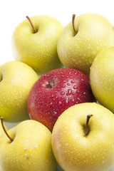 apples