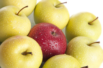 apples