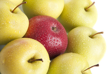 apples