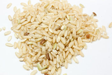 isolated brown rices
