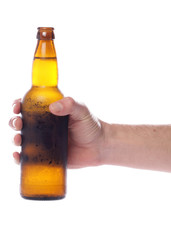 Hand holding beer bottle