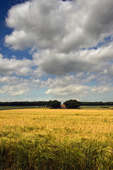 Yorkshire Wolds Farm