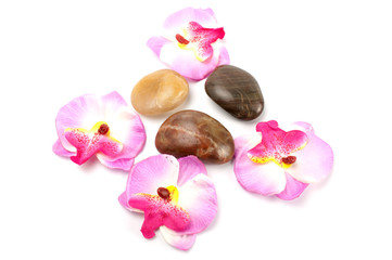 Fototapeta na wymiar Orchid and stones