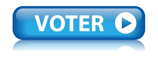 Bouton “VOTER” (commenter partager avis client satisfaction ok)