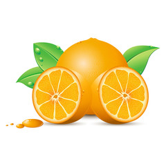 Fresh Orange