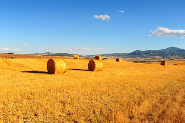 Hay Bales