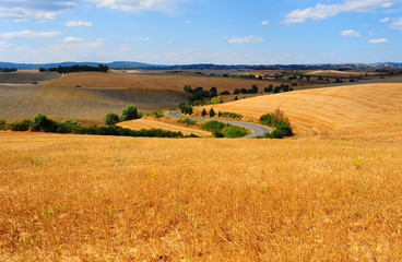 Plowed Fields