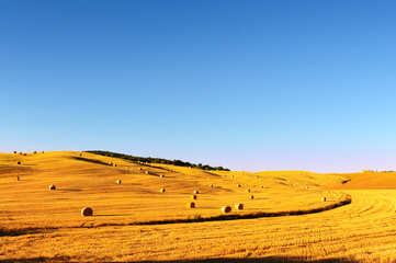 Obraz premium Tuscany Landscape