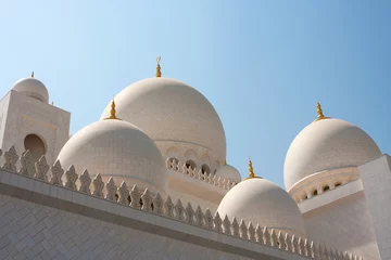 Foto op Plexiglas Dome of Grand Mosque in Abu Dhabi © alexxich