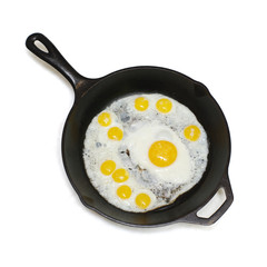 fried eggs