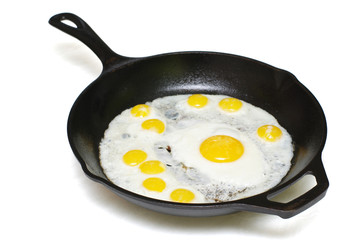 fried eggs