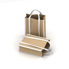 ecological paper bags