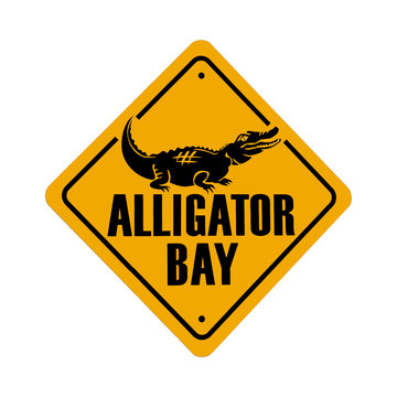 alligator