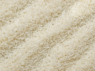 raw polished white rice