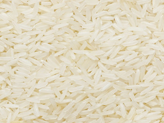 raw polished white rice