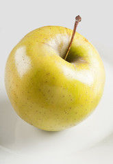 one close up of glossy apple