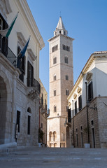 Fototapeta na wymiar Belltower Cathedral. Trani. Apulia.