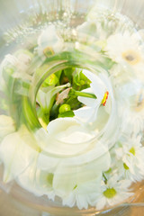 Fototapeta na wymiar still life - white flower (sample of wine aroma)