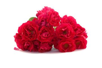Beautiful red roses
