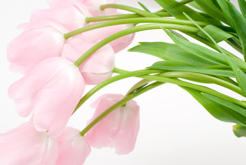 ピンクのチューリップの花束