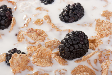 Cereals with blackberry