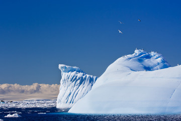 Antarctic glacier - Powered by Adobe