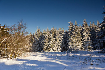 Winterlandschaft Hoher Meissner
