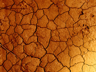 desert