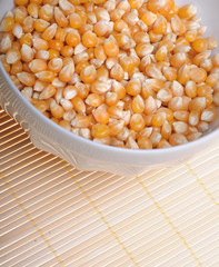 Corn seed