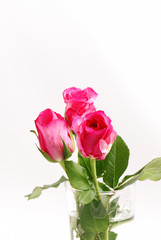 Gift for St.Valentine's Day..