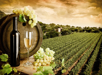 Wine and vineyard in vintage style