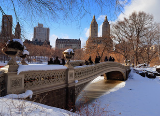 New York City Manhattan Central Park panorama in winter