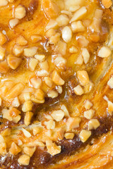 close-up bread