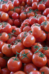 Vine tomatoes at Market vertical