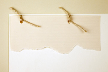Ripped paper